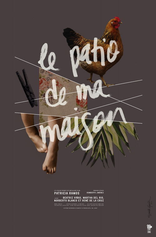 El patio de mi casa (2008) poster