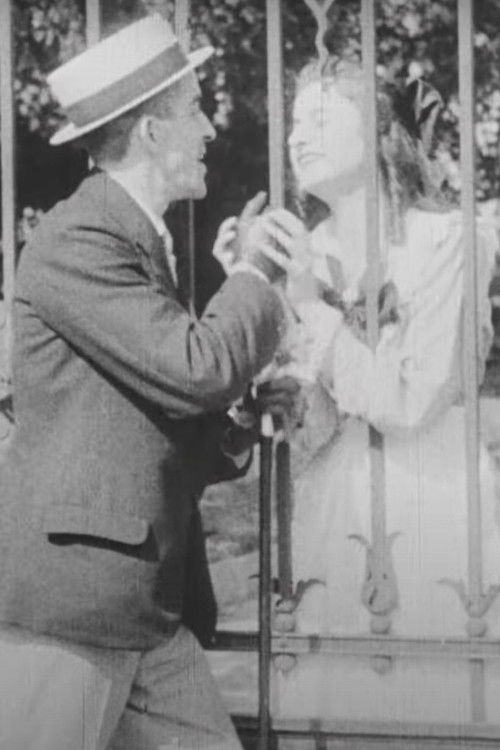 Love is Madness (1917) poster