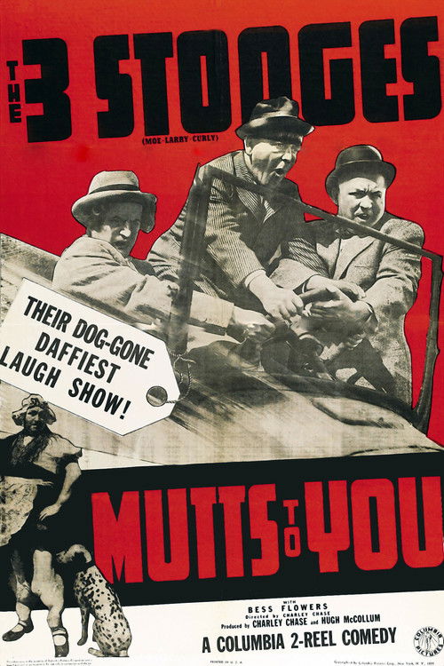 Mutts to You (1938) poster
