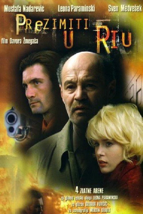 Winter in Rio (2002) poster