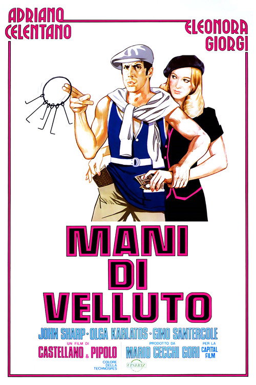 Mani di velluto (1979) poster