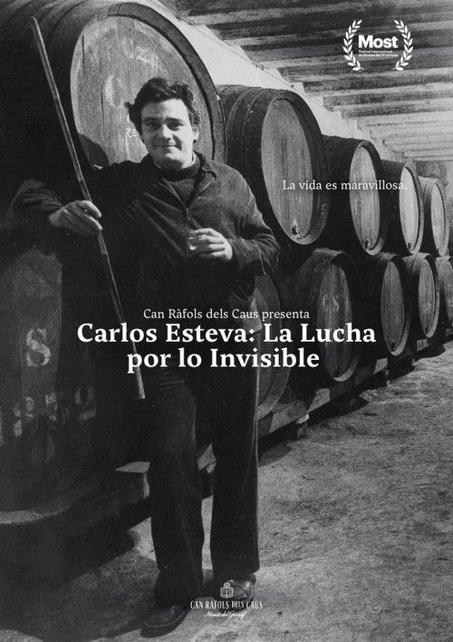 Carlos Esteva: the fight for the invisible (2024) poster