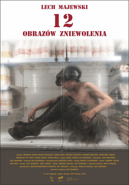 12 obrazów zniewolenia (2025) poster