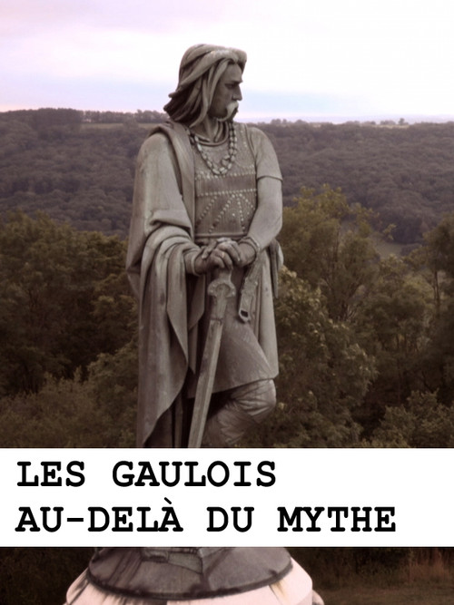 Les Gaulois au-delà du mythe (2013) poster