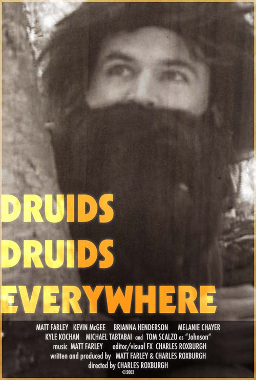 Druids Druids Everywhere (2004) poster