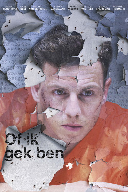 Of ik gek ben (2016) poster