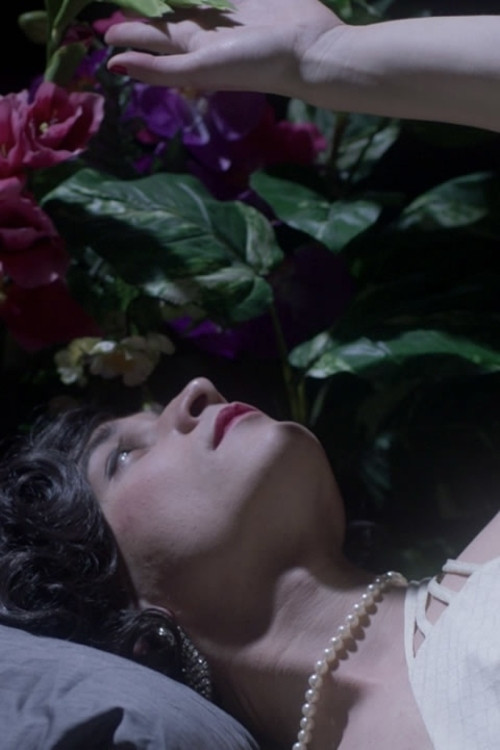 Les fleurs et les bêtes (2024) poster