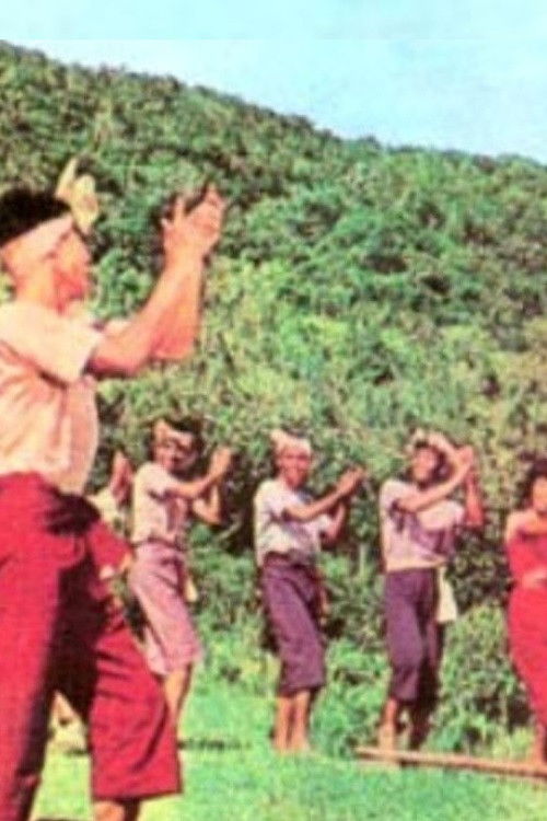 The Enchanted Forest (1966) poster