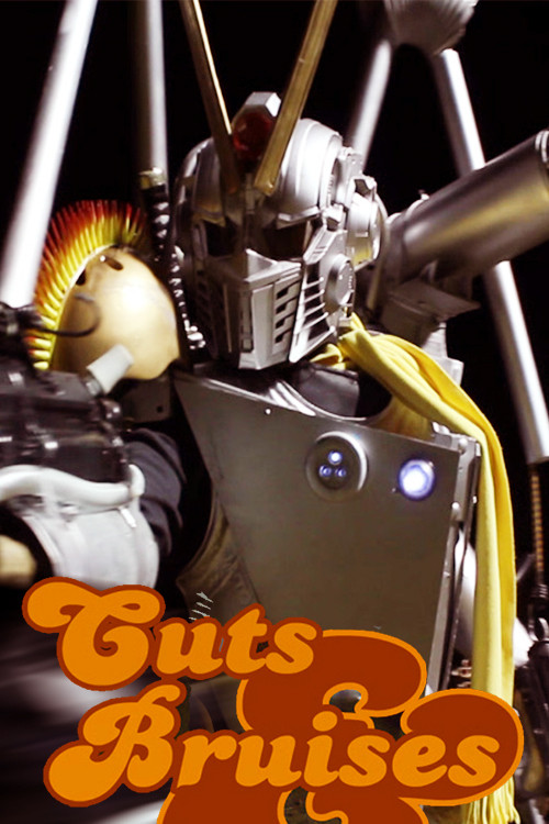 Cuts & Bruises poster