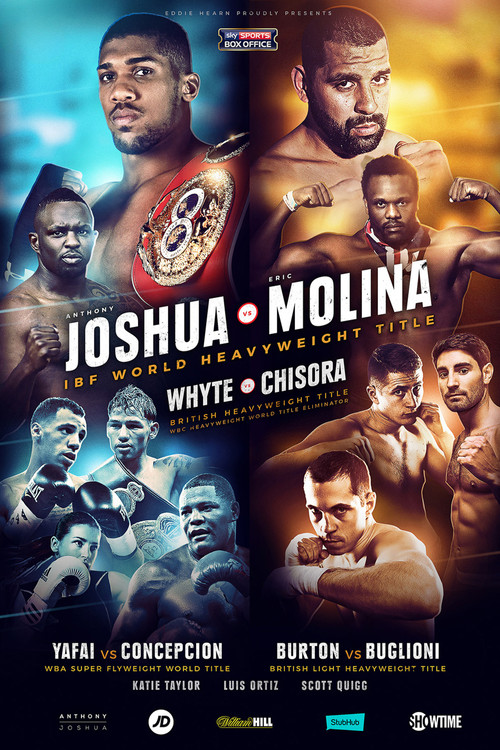 Anthony Joshua vs. Eric Molina (2016) poster