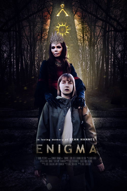 Enigma (2019) poster