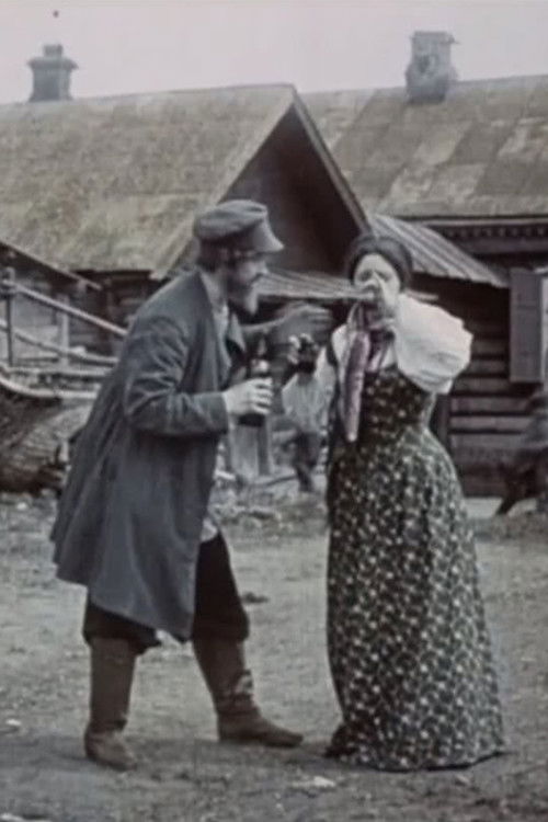 The Dashing Merchant (1909) poster