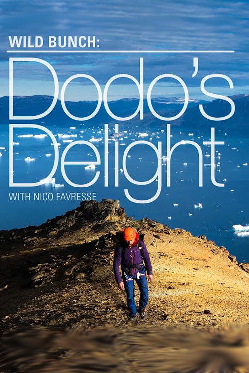 Dodo's Delight - The Adventures Of The Dodo (2015) poster