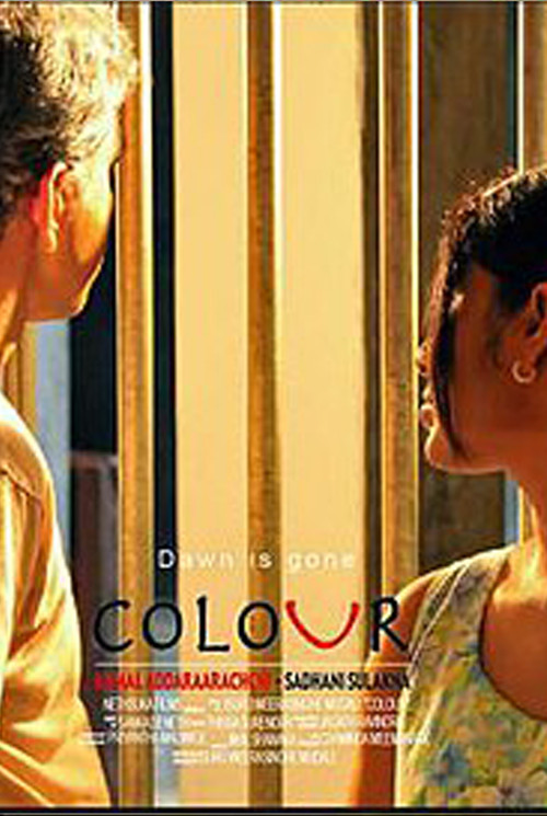 Colour: Dawn is gone (2012) poster