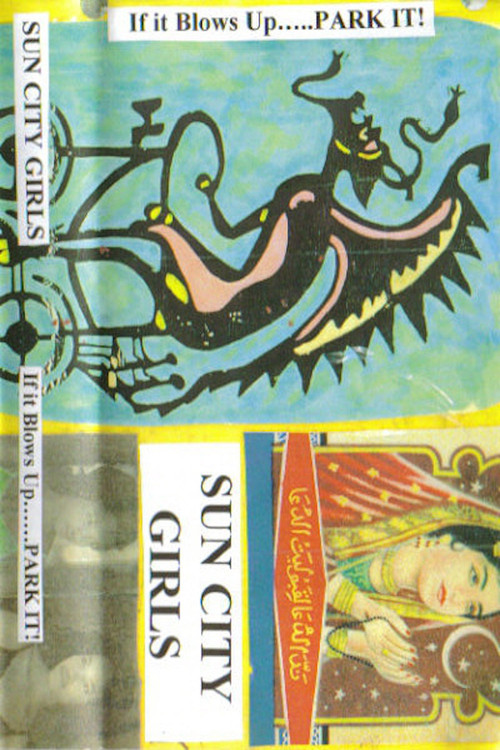 If It Blows Up... Park It! (2004) poster