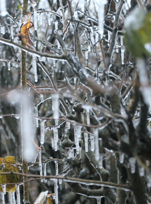 Maelstrom (2010) poster