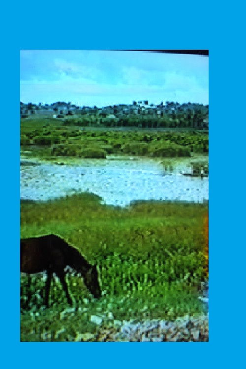 O Lugar em que um Homem Mora (2003) poster