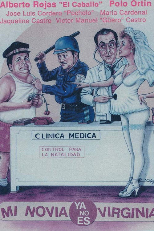 Mi novia ya no es Virginia (1993) poster