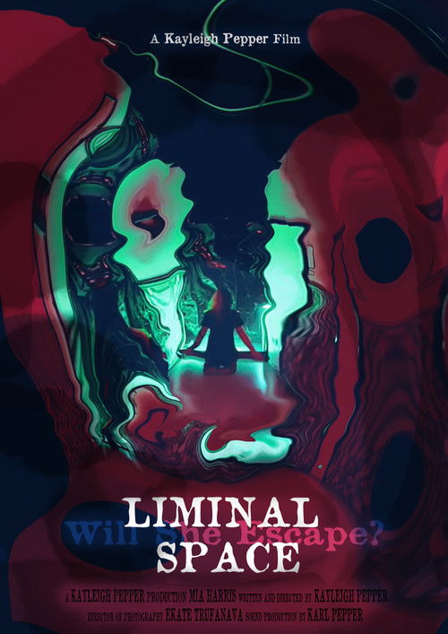 Liminal Space (2023) poster