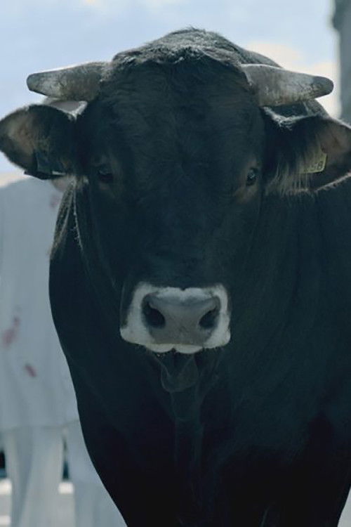 The Bull (2019) poster