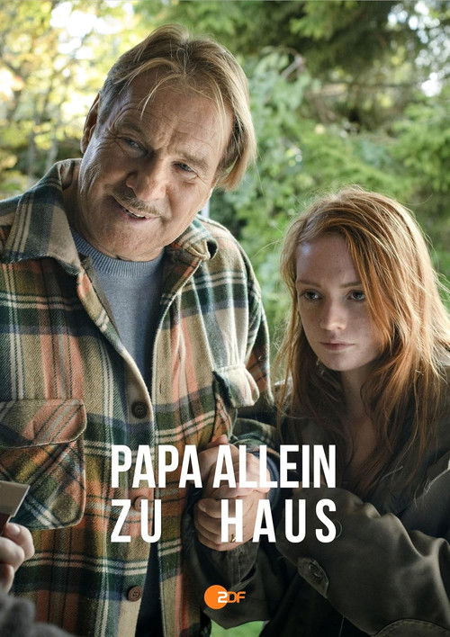 Papa allein zu Haus (2011) poster