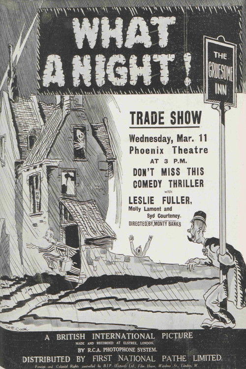 What a Night! (1931) poster