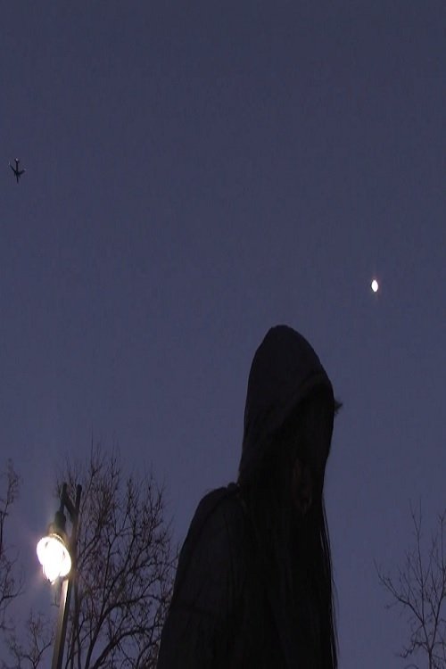 The Words Are Not What You Meant (2017) poster