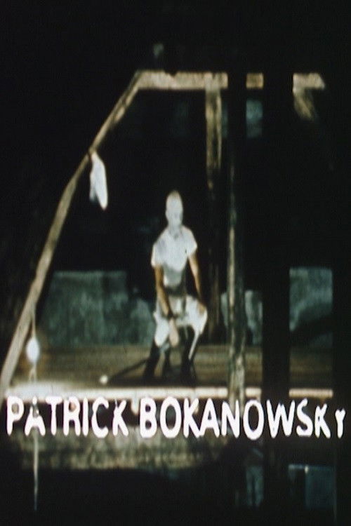 A Creator of the Imaginary: Patrick Bokanowski - Short Film (1977) poster