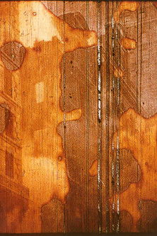 Tradition Is the Handing on of Fire and Not the Worship of Ashes (1999) poster