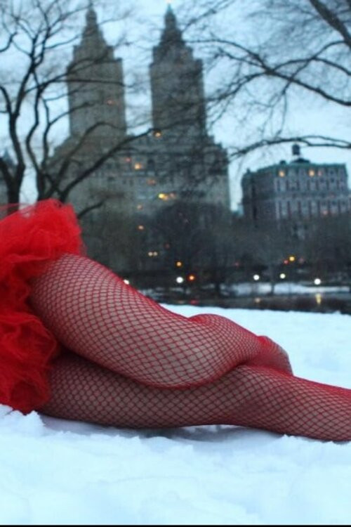 The True Story of the Ballerina in Red (2010) poster