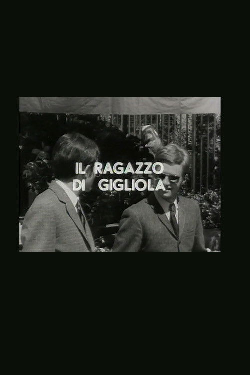 Il ragazzo di Gigliola (1967) poster