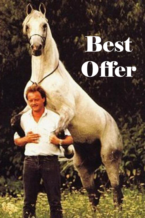 Best Offer (1993) poster