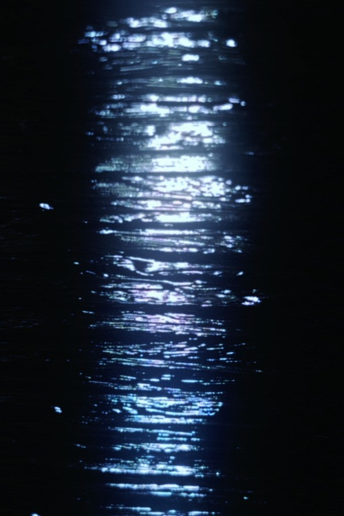 December Lights (2025) poster