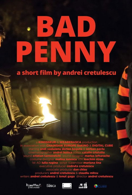 Bad Penny (2013) poster