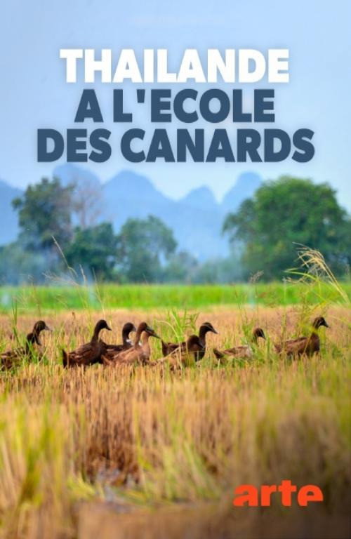 Thaïlande, à l'école des canards (2020) poster