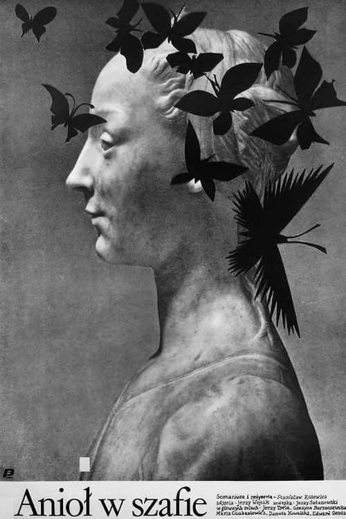 Angel in the Wardrobe (1988) poster