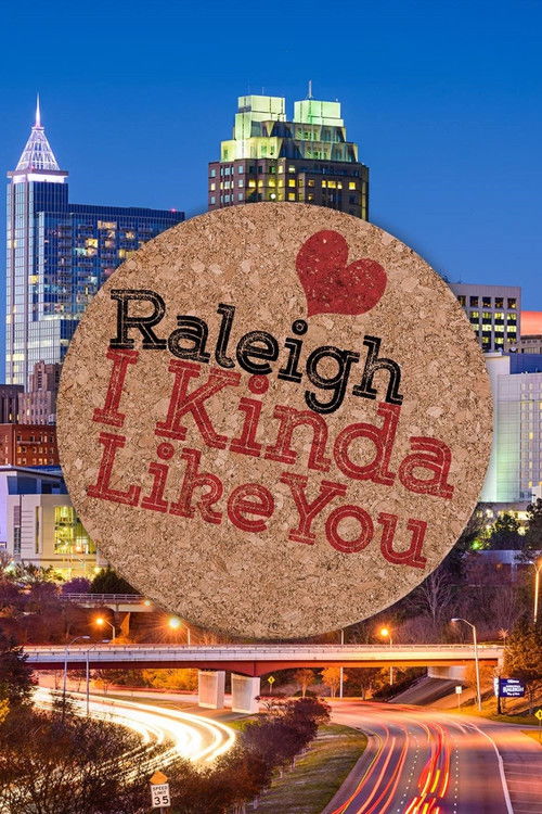 Raleigh, I Kinda Like You (2018) poster