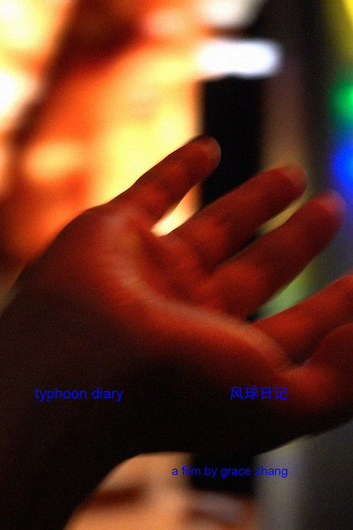 typhoon diary 风球日记 (2024) poster