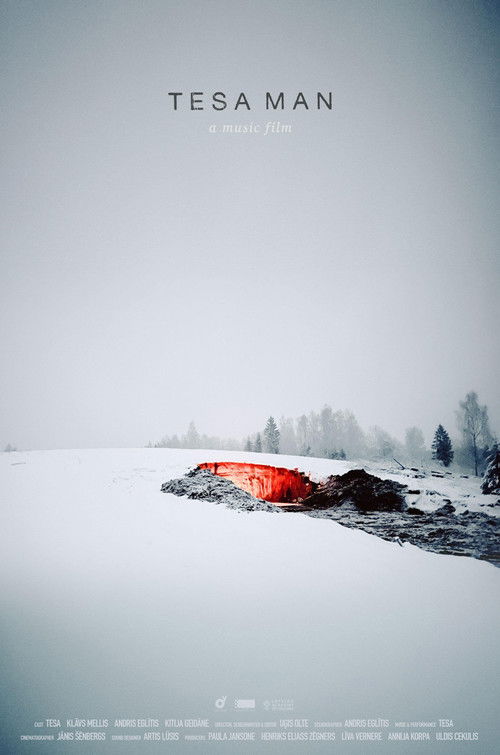TESA MAN (2024) poster