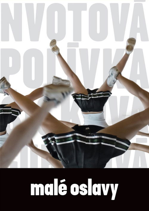 Small Celebrations (2008) poster