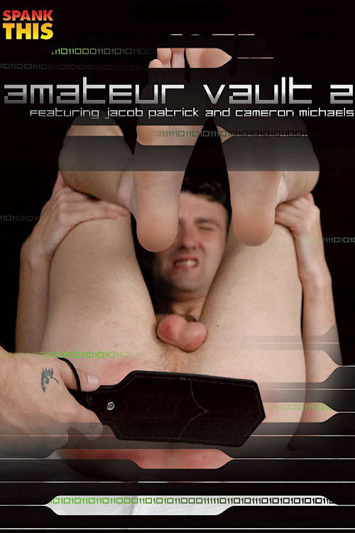 Amateur Vault 2 (2008) poster