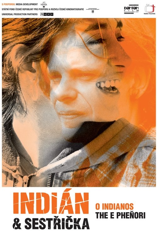 The Indian and the Nurse (2006) poster