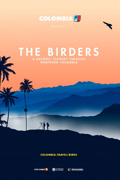 The Birders (2019) poster