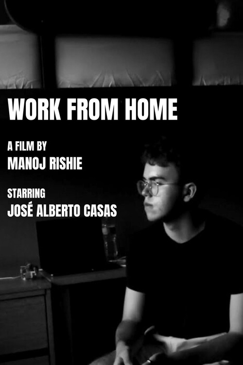 Work From Home (2023) poster