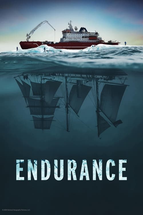 Batık Gemi Endurance (2024) poster