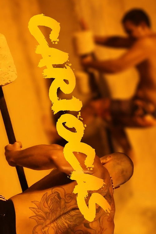 Cariocas (2014) poster