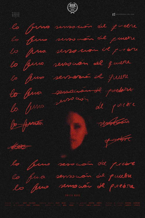 The subtle feeling of breaking (2026) poster