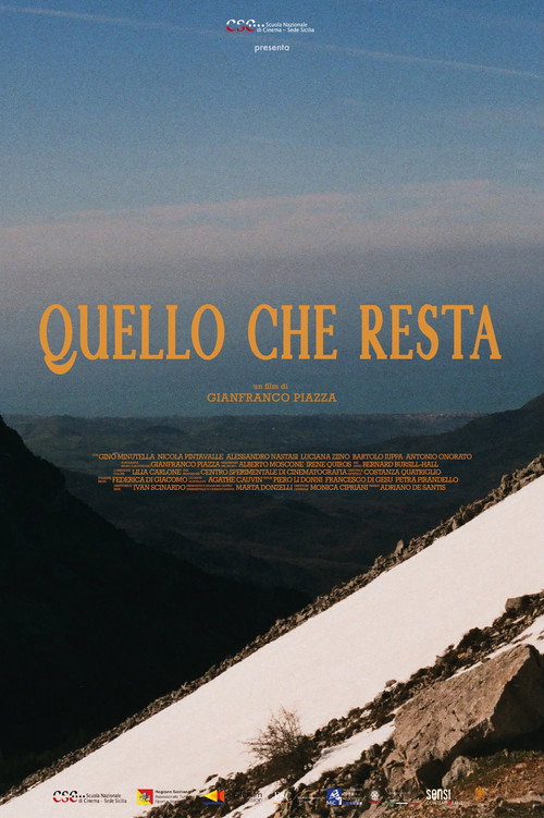 Quello che resta (2024) poster