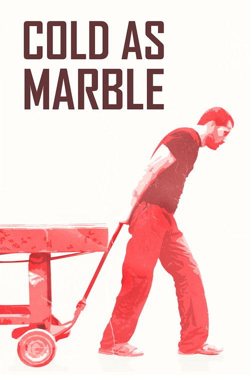 Cold as Marble (2022) poster