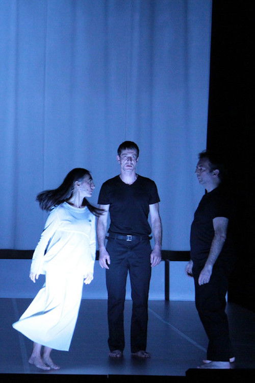 Andromaque (2011) poster